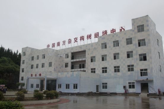 感謝貴州省雜交構樹產業研究院采購卓越一臺實驗室廢水500L設備